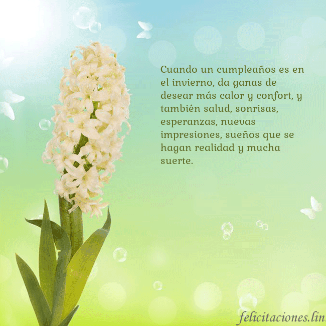 Tarjeta con jacinto Cuando un cumpleaños es en el invierno, da ganas d Tarjeta con jacinto