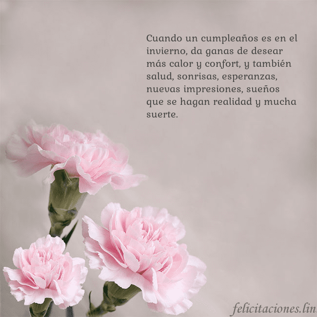 Tarjeta de cumpleaños con claveles rosas Cuando un cumpleaños es en el invierno, da ganas d Tarjeta de cumpleaños con claveles rosas