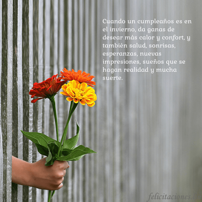 Tarjeta electrónica con ramo de flores Cuando un cumpleaños es en el invierno, da ganas d Tarjeta electrónica con ramo de flores