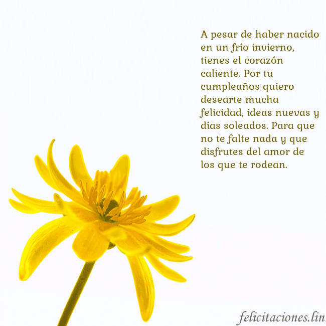 Tarjeta de cumpleaños con flor amarilla