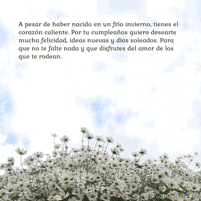 Tarjeta de cumpleaños con margaritas