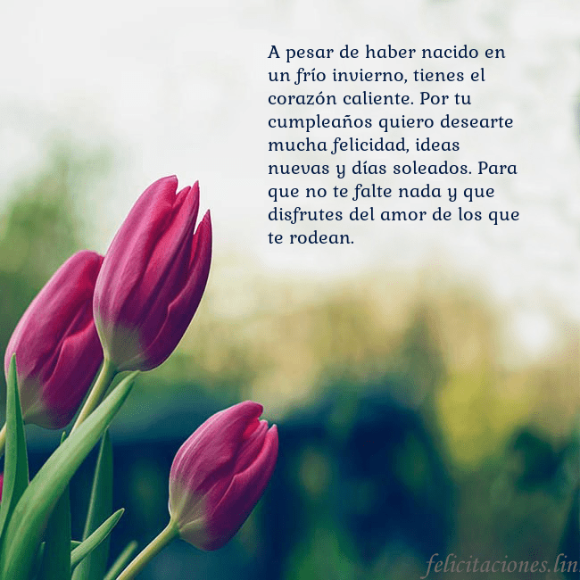 Tarjeta de cumpleaños con tres tulipanes rojos A pesar de haber nacido en un frío invierno, tiene Tarjeta de cumpleaños con tres tulipanes rojos