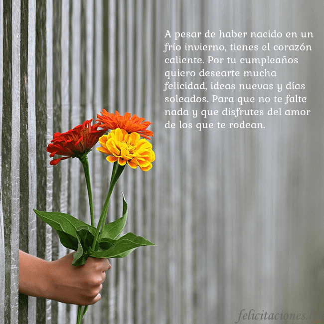 Tarjeta electrónica con ramo de flores A pesar de haber nacido en un frío invierno, tiene Tarjeta electrónica con ramo de flores