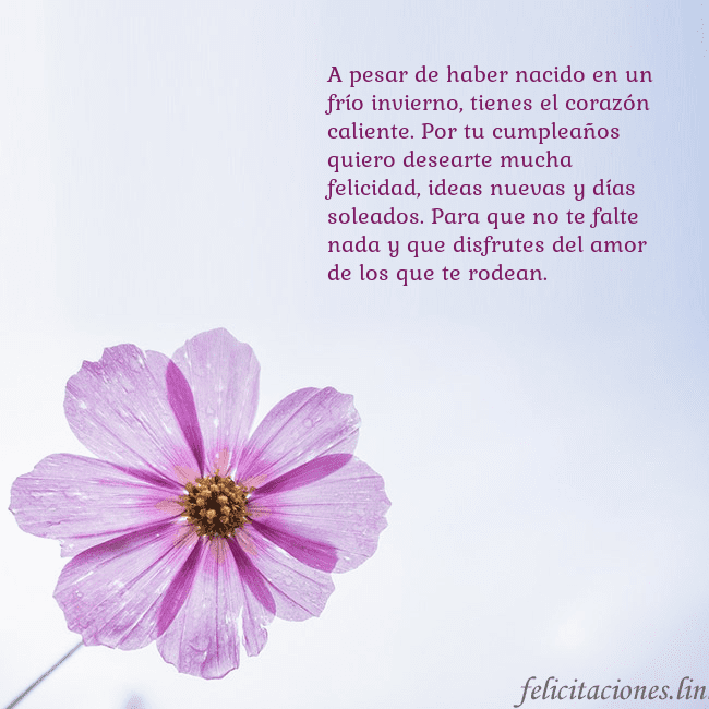 Tarjeta electrónica con flor morada A pesar de haber nacido en un frío invierno, tiene Tarjeta electrónica con flor morada