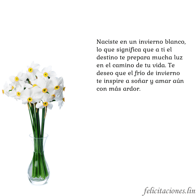 Tarjeta con narcisos Naciste en un invierno blanco, lo que significa qu Tarjeta con narcisos