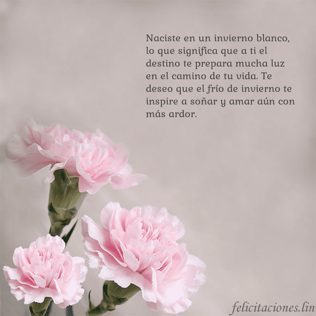 Tarjeta de cumpleaños con claveles rosas Naciste en un invierno blanco, lo que significa qu Tarjeta de cumpleaños con claveles rosas