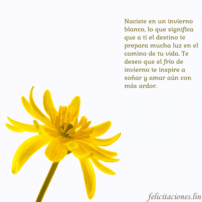 Tarjeta de cumpleaños con flor amarilla Naciste en un invierno blanco, lo que significa qu Tarjeta de cumpleaños con flor amarilla