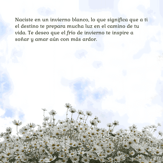 Tarjeta de cumpleaños con margaritas Naciste en un invierno blanco, lo que significa qu Tarjeta de cumpleaños con margaritas