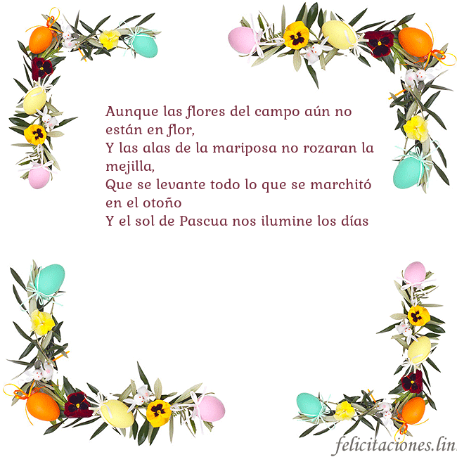 Tarjetas electrónicas de Pascua 4 Aunque las flores del campo aún no están en flor,
Tarjetas electrónicas de Pascua 4