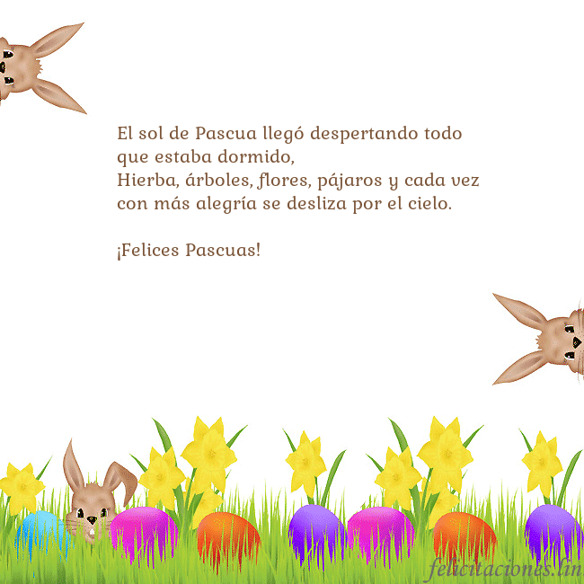 Tarjetas electrónicas de Pascua 8 El sol de Pascua llegó despertando todo que estaba Tarjetas electrónicas de Pascua 8
