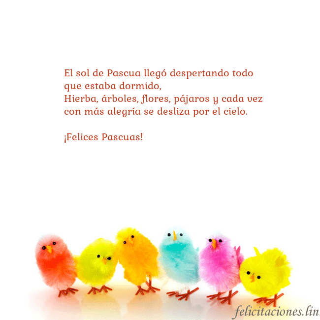 Tarjetas electrónicas de Pascua 9 El sol de Pascua llegó despertando todo que estaba Tarjetas electrónicas de Pascua 9
