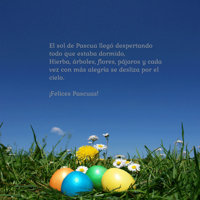 Tarjetas electrónicas de Pascua 12 El sol de Pascua llegó despertando todo que estaba Tarjetas electrónicas de Pascua 12