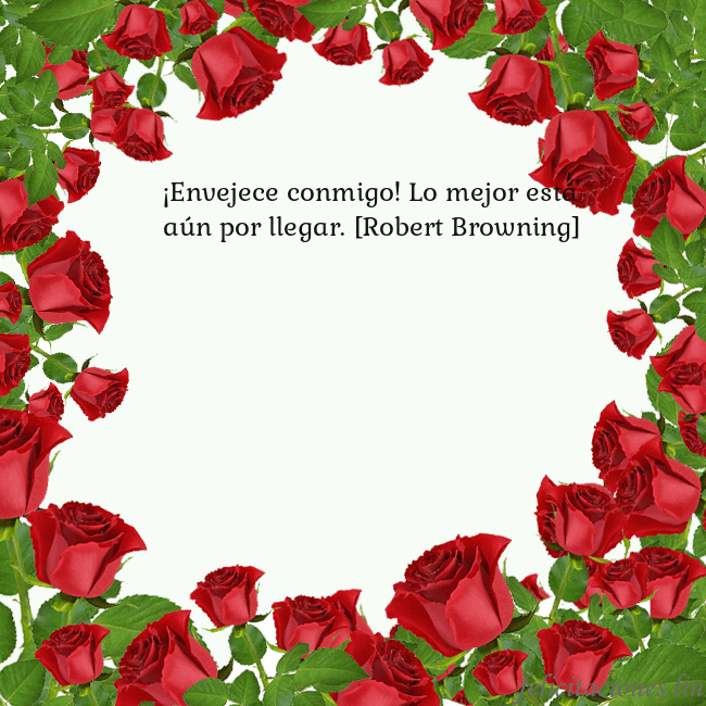 Tarjeta con con muchas rosas
