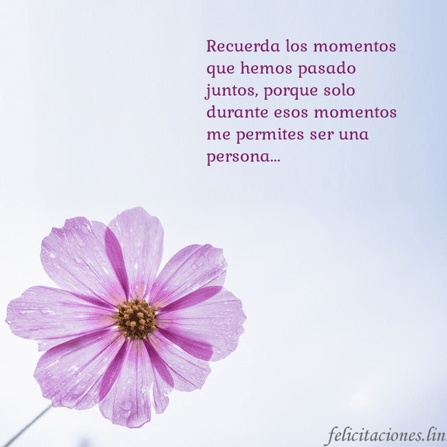 Tarjeta electrónica con flor morada Recuerda los momentos que hemos pasado juntos, por Tarjeta electrónica con flor morada