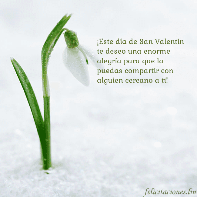 Tarjetas de San Valentín 8-8 ¡Este día de San Valentín te deseo una enorme aleg Tarjetas de San Valentín 8-8