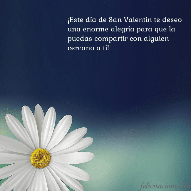 Postal con una gran margarita ¡Este día de San Valentín te deseo una enorme aleg Postal con una gran margarita