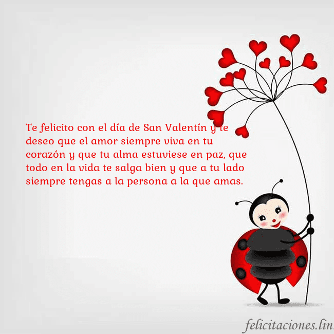 Tarjeta con mariquita Te felicito con el día de San Valentín y te deseo Tarjeta con mariquita