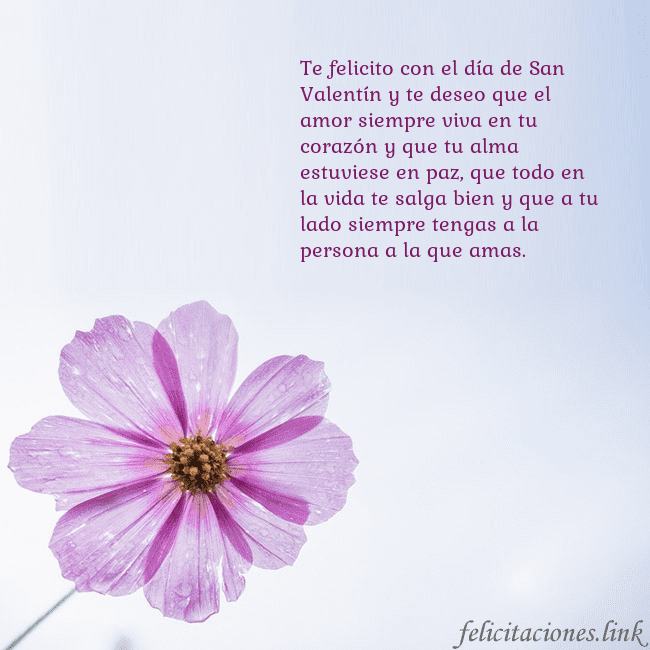 Tarjeta electrónica con flor morada Te felicito con el día de San Valentín y te deseo Tarjeta electrónica con flor morada