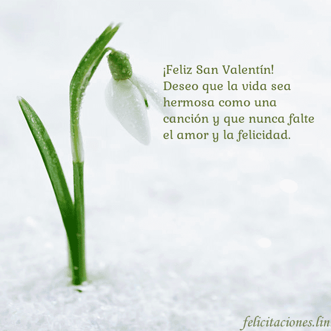 Tarjetas de San Valentín 8-8 ¡Feliz San Valentín!
Deseo que la vida sea hermosa Tarjetas de San Valentín 8-8
