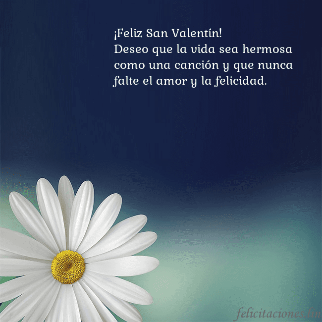 Postal con una gran margarita ¡Feliz San Valentín!
Deseo que la vida sea hermosa Postal con una gran margarita