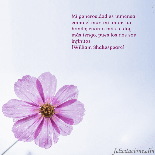 Tarjeta electrónica con flor morada Mi generosidad es inmensa como el mar, mi amor, ta Tarjeta electrónica con flor morada