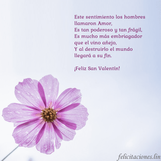 Tarjeta electrónica con flor morada Este sentimiento los hombres llamaron Amor,
Es tan Tarjeta electrónica con flor morada