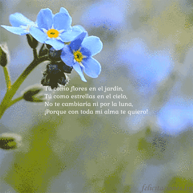 Postal electrónica animada con nomeolvides Tú como flores en el jardín,
Tú como estrellas en Postal electrónica animada con nomeolvides