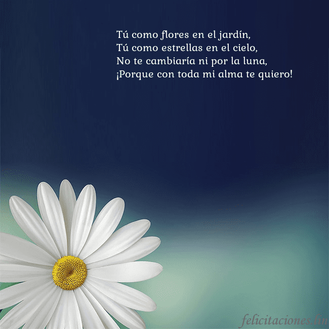 Postal con una gran margarita Tú como flores en el jardín,
Tú como estrellas en Postal con una gran margarita