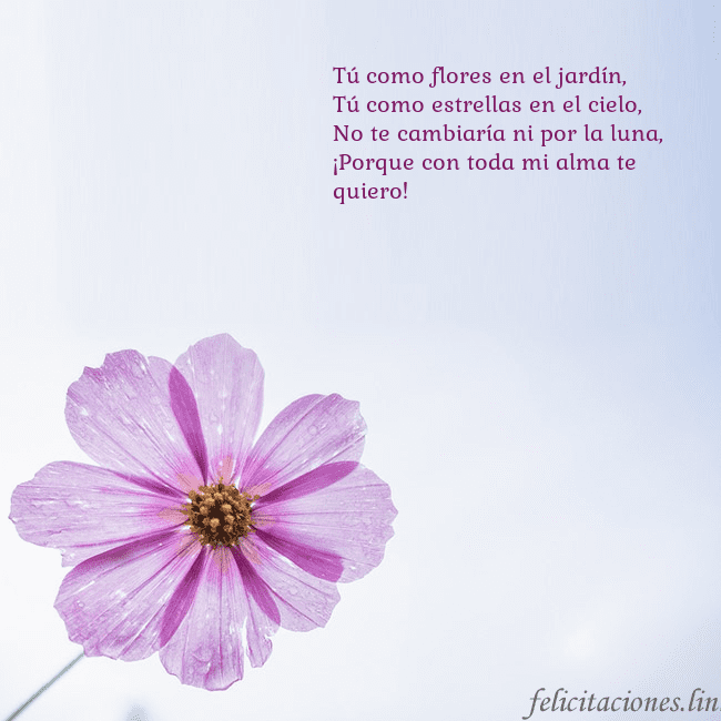 Tarjeta electrónica con flor morada Tú como flores en el jardín,
Tú como estrellas en Tarjeta electrónica con flor morada