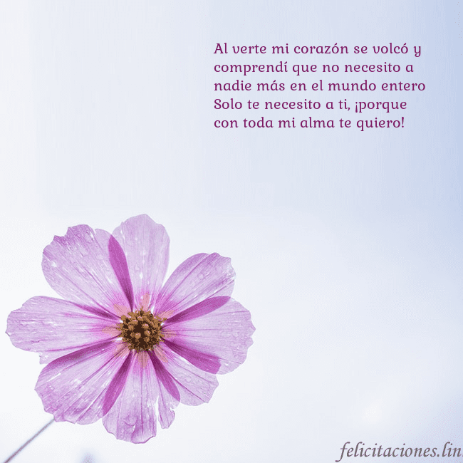 Tarjeta electrónica con flor morada Al verte mi corazón se volcó y comprendí que no ne Tarjeta electrónica con flor morada