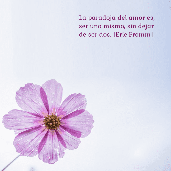 Tarjeta electrónica con flor morada