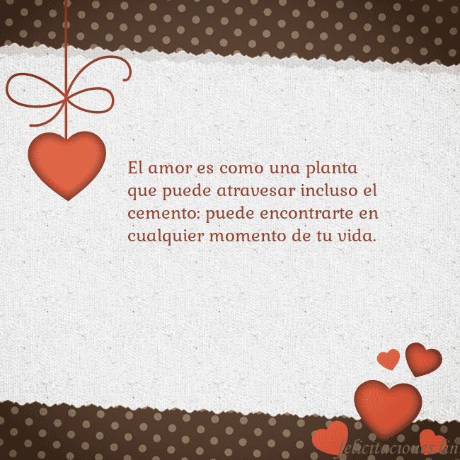 Tarjeta con corazones El amor es como una planta que puede atravesar inc Tarjeta con corazones