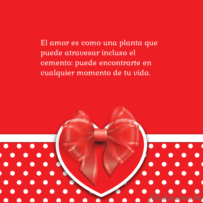 Tarjetas de San Valentín 2 El amor es como una planta que puede atravesar inc Tarjetas de San Valentín 2