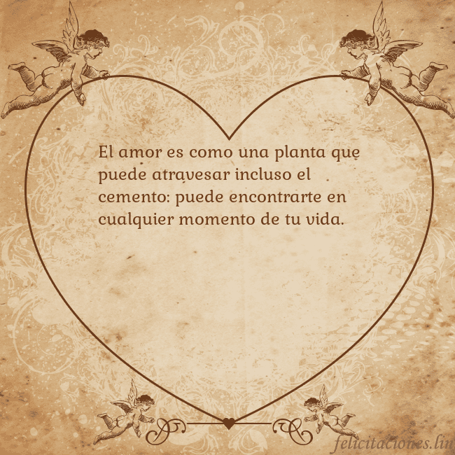 Tarjetas de San Valentín 8 El amor es como una planta que puede atravesar inc Tarjetas de San Valentín 8