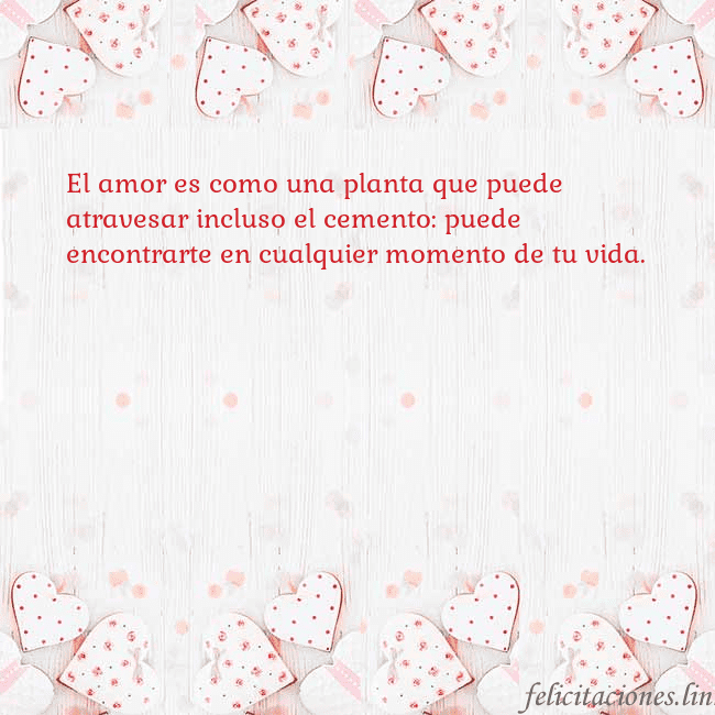 Tarjeta con corazones blancos El amor es como una planta que puede atravesar inc Tarjeta con corazones blancos