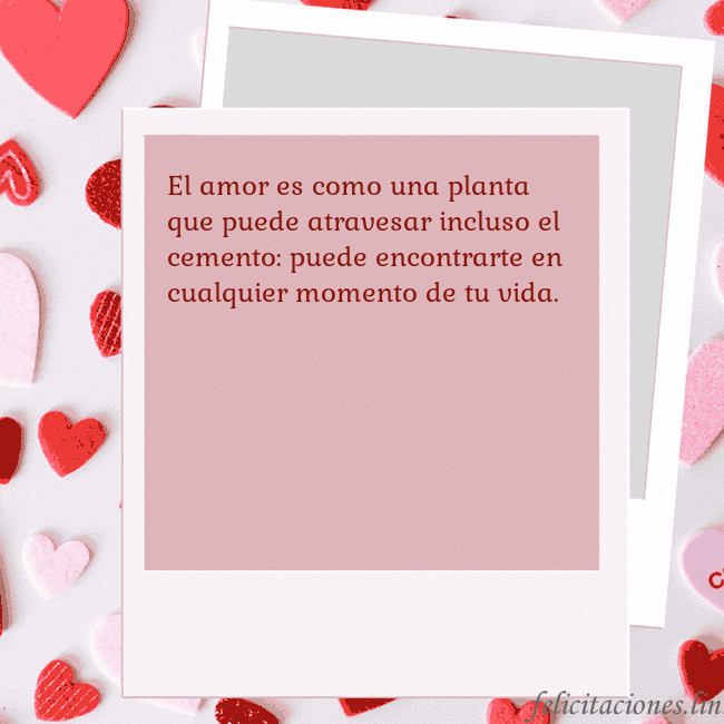Tarjeta animada de San Valentín El amor es como una planta que puede atravesar inc Tarjeta animada de San Valentín