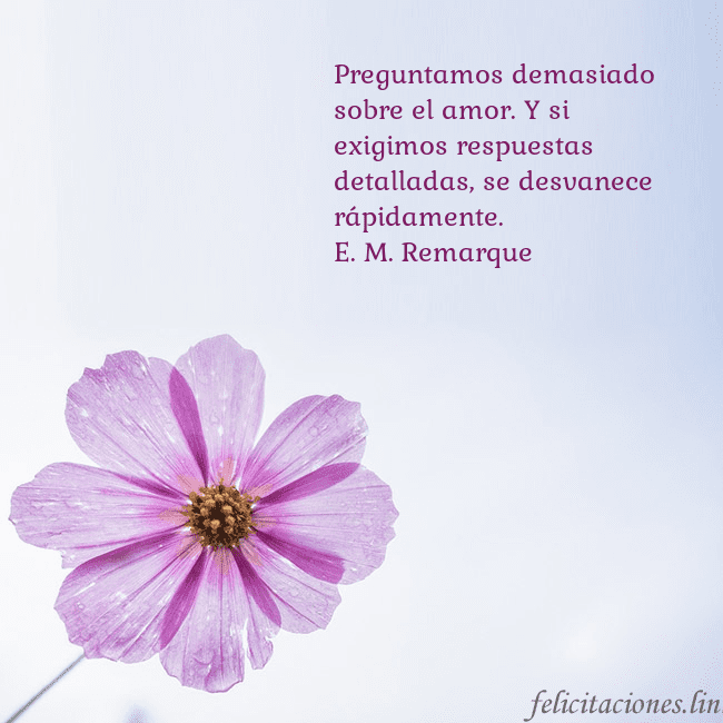 Tarjeta electrónica con flor morada Preguntamos demasiado sobre el amor. Y si exigimos Tarjeta electrónica con flor morada