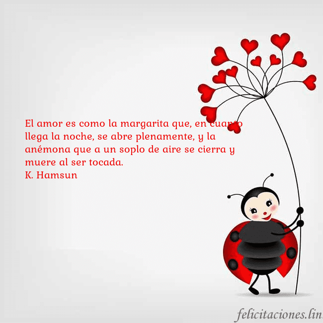Tarjeta con mariquita El amor es como la margarita que, en cuanto llega Tarjeta con mariquita