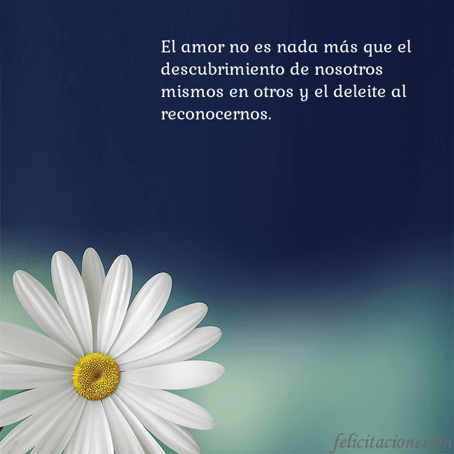 Postal con una gran margarita El amor no es nada más que el descubrimiento de no Postal con una gran margarita