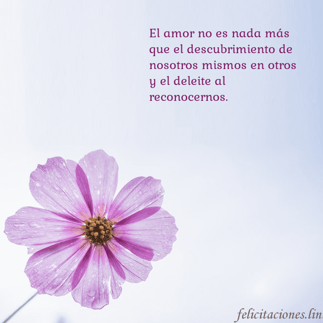 Tarjeta electrónica con flor morada El amor no es nada más que el descubrimiento de no Tarjeta electrónica con flor morada