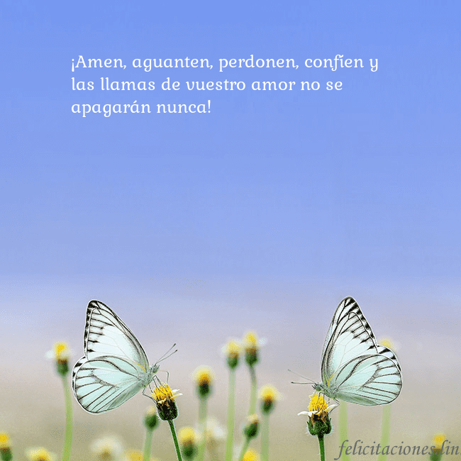 Tarjeta de boda con dos mariposas