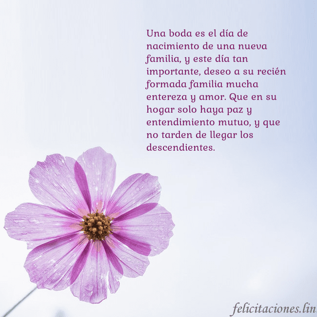 Tarjeta electrónica con flor morada Una boda es el día de nacimiento de una nueva fami Tarjeta electrónica con flor morada