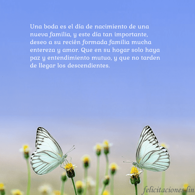 Tarjeta de boda con dos mariposas Una boda es el día de nacimiento de una nueva fami Tarjeta de boda con dos mariposas