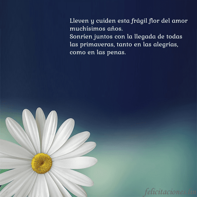 Postal con una gran margarita Lleven y cuiden esta frágil flor del amor muchísim Postal con una gran margarita