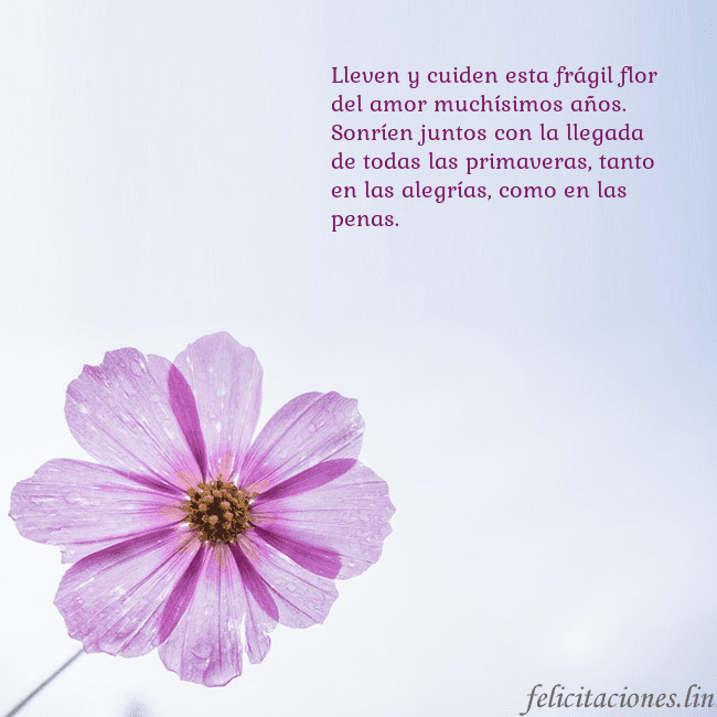 Tarjeta electrónica con flor morada Lleven y cuiden esta frágil flor del amor muchísim Tarjeta electrónica con flor morada