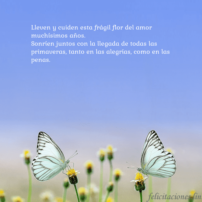 Tarjeta de boda con dos mariposas Lleven y cuiden esta frágil flor del amor muchísim Tarjeta de boda con dos mariposas