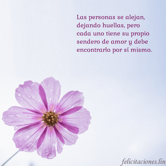 Tarjeta electrónica con flor morada Las personas se alejan, dejando huellas, pero
cada Tarjeta electrónica con flor morada