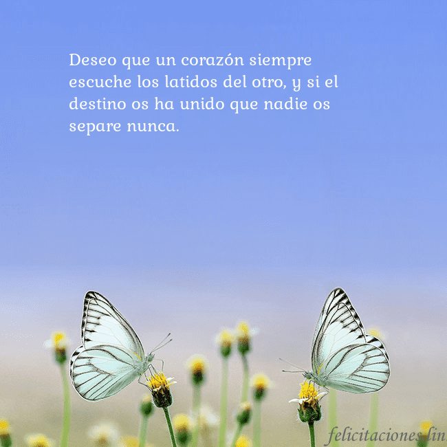Tarjeta de boda con dos mariposas