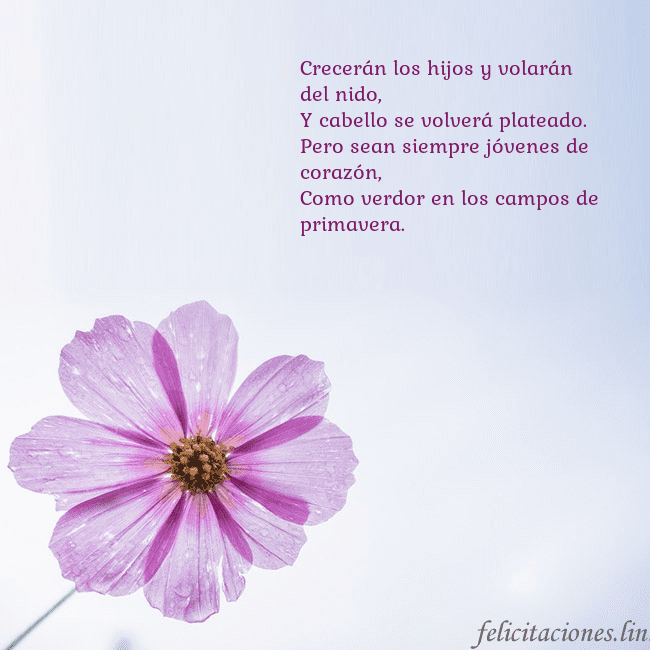 Tarjeta electrónica con flor morada Crecerán los hijos y volarán del nido,
Y cabello s Tarjeta electrónica con flor morada