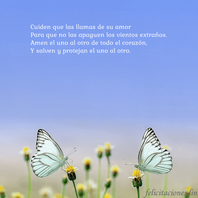 Tarjeta de boda con dos mariposas Cuiden que las llamas de su amor
Para que no las a Tarjeta de boda con dos mariposas